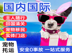 昭苏天马航空托运国际宠物托运 【国